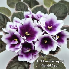 ПТ-Ночной Город